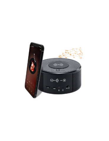 WiFi mini camera in bluetooth speaker Secutek SAH-IP027